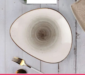 Irregular Ceramic Lunch Serving Plate