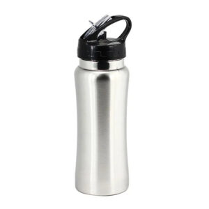 Portable Stainless Steel Water Bottle With Straw - 650 ML
